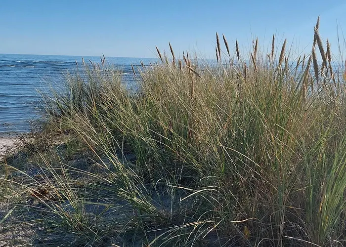 7 Person In Hals-by Traum *